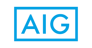 AIG Logo (AIG in all capitals in light blue with a light blue box around them)